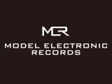 Model Electronic Records