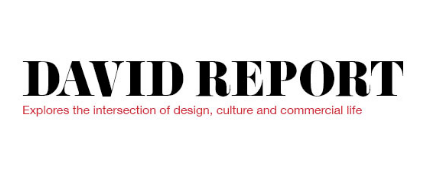 David Report-logo