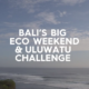 OE “Hollow Stone” on Quiksilver North America “Bali’s Big Eco Weekend”
