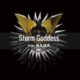 Dark Model – Storm Goddess (from the new album “Saga”)