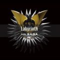 Dark Model - Labyrinth