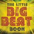 The little big beat book