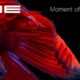 OE “Moment of Now (Suchness 5)” out on Jan 17th, 2025