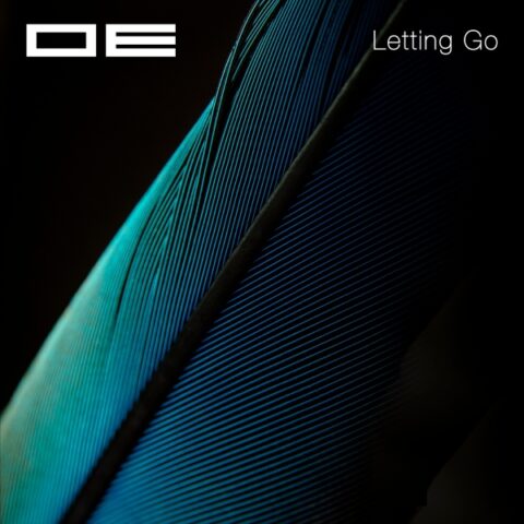 OE - Letting Go (Suchness 6)